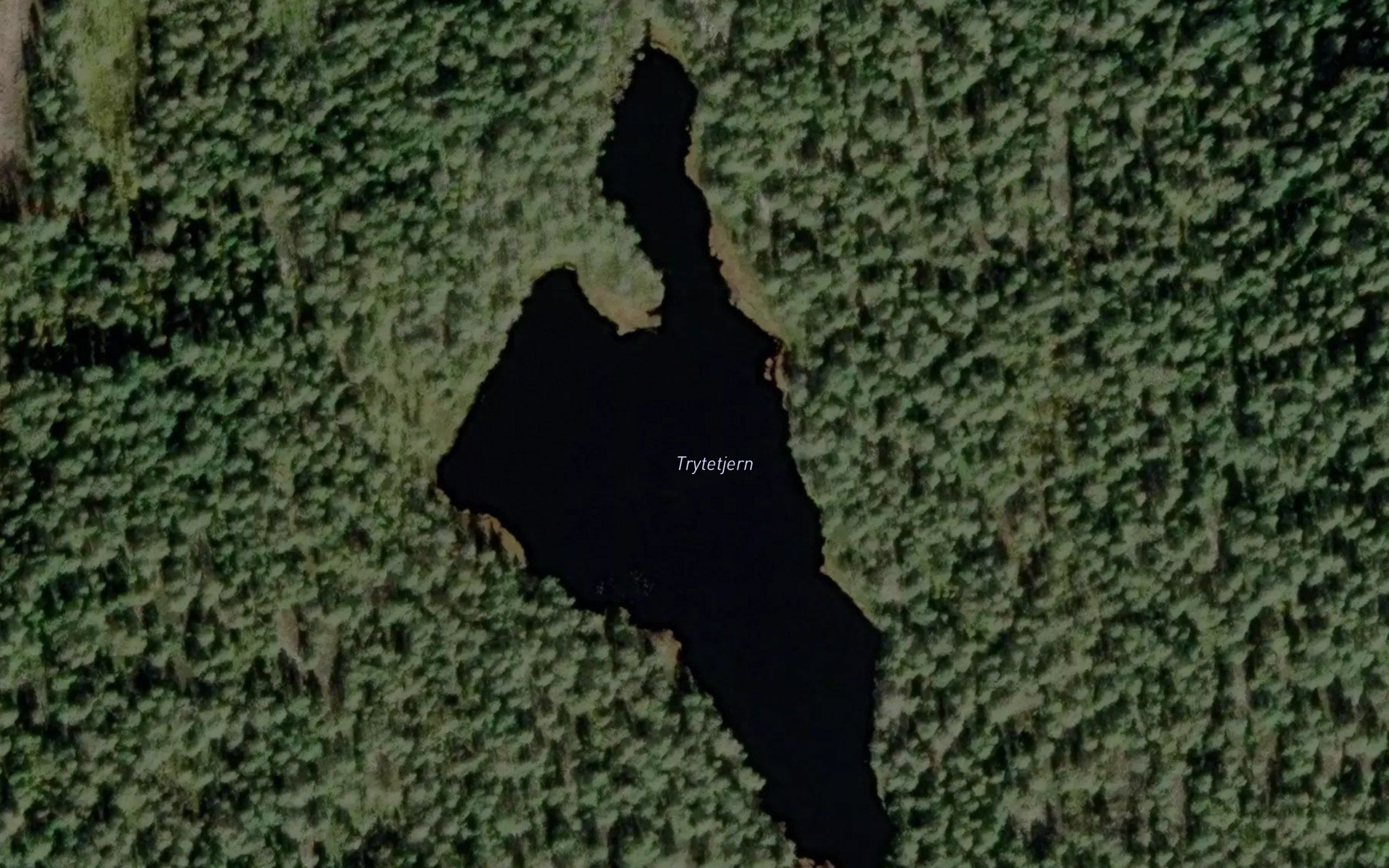 Tryttjern