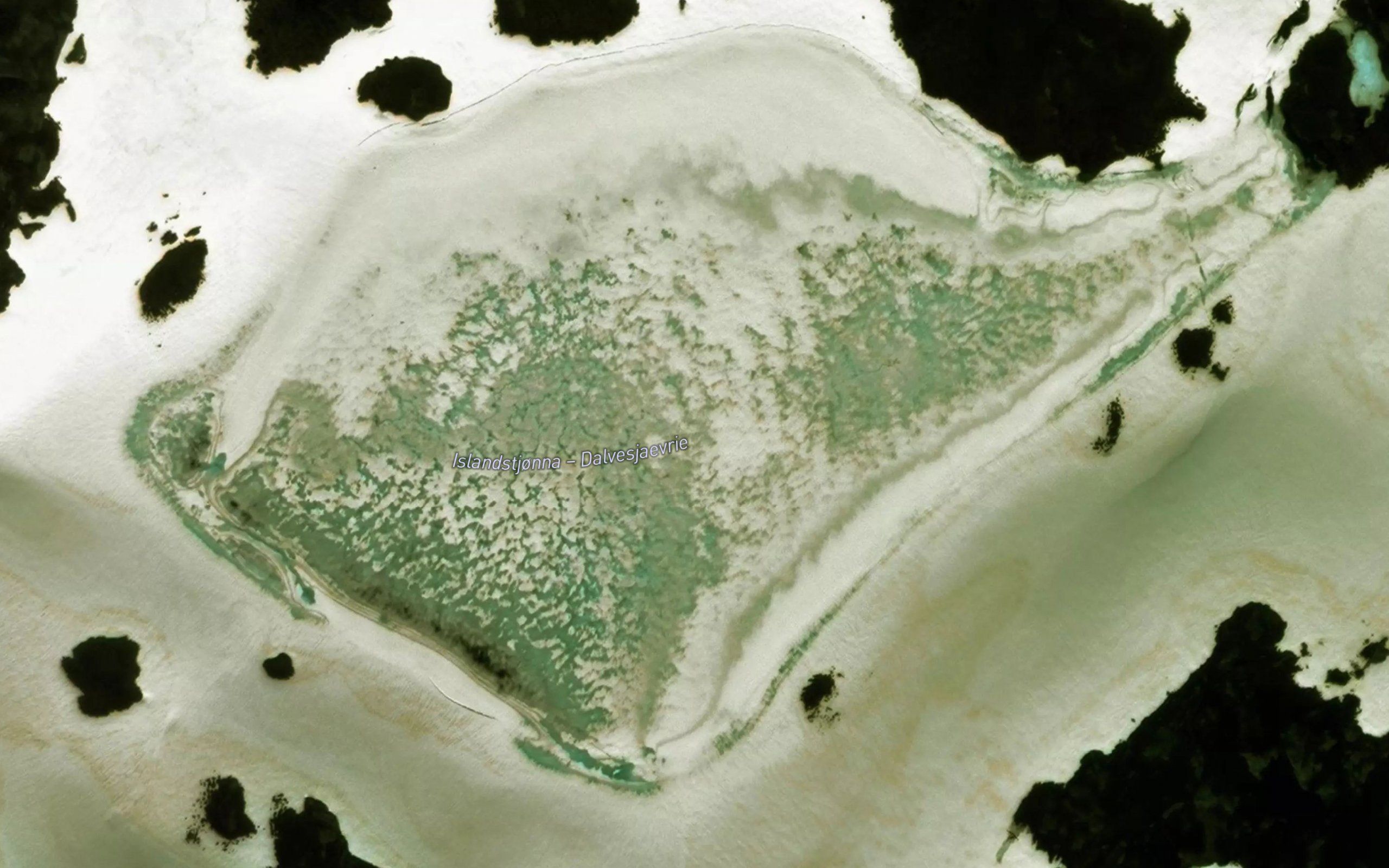 Islandstjorna