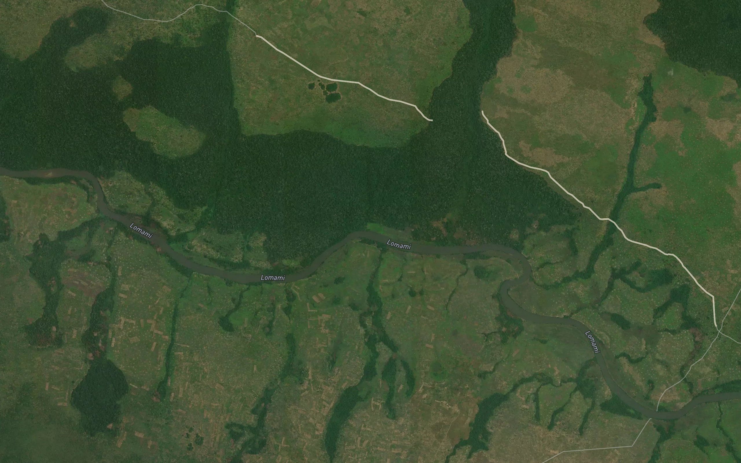 Kafumbwe