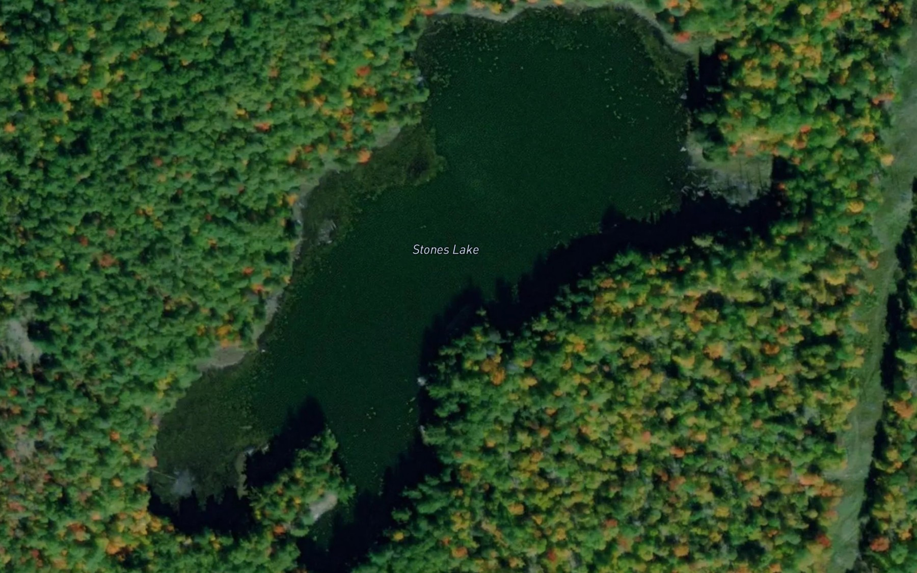 Satellite map of the Stones Lake