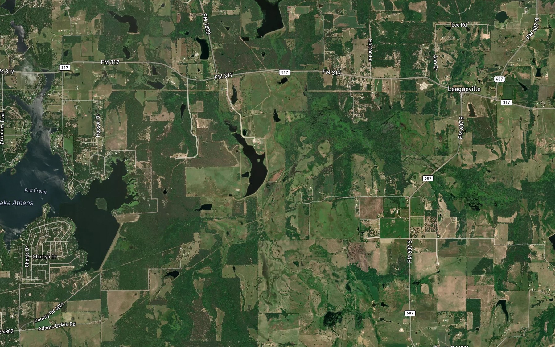 Satellite map of the Muscadine Branch