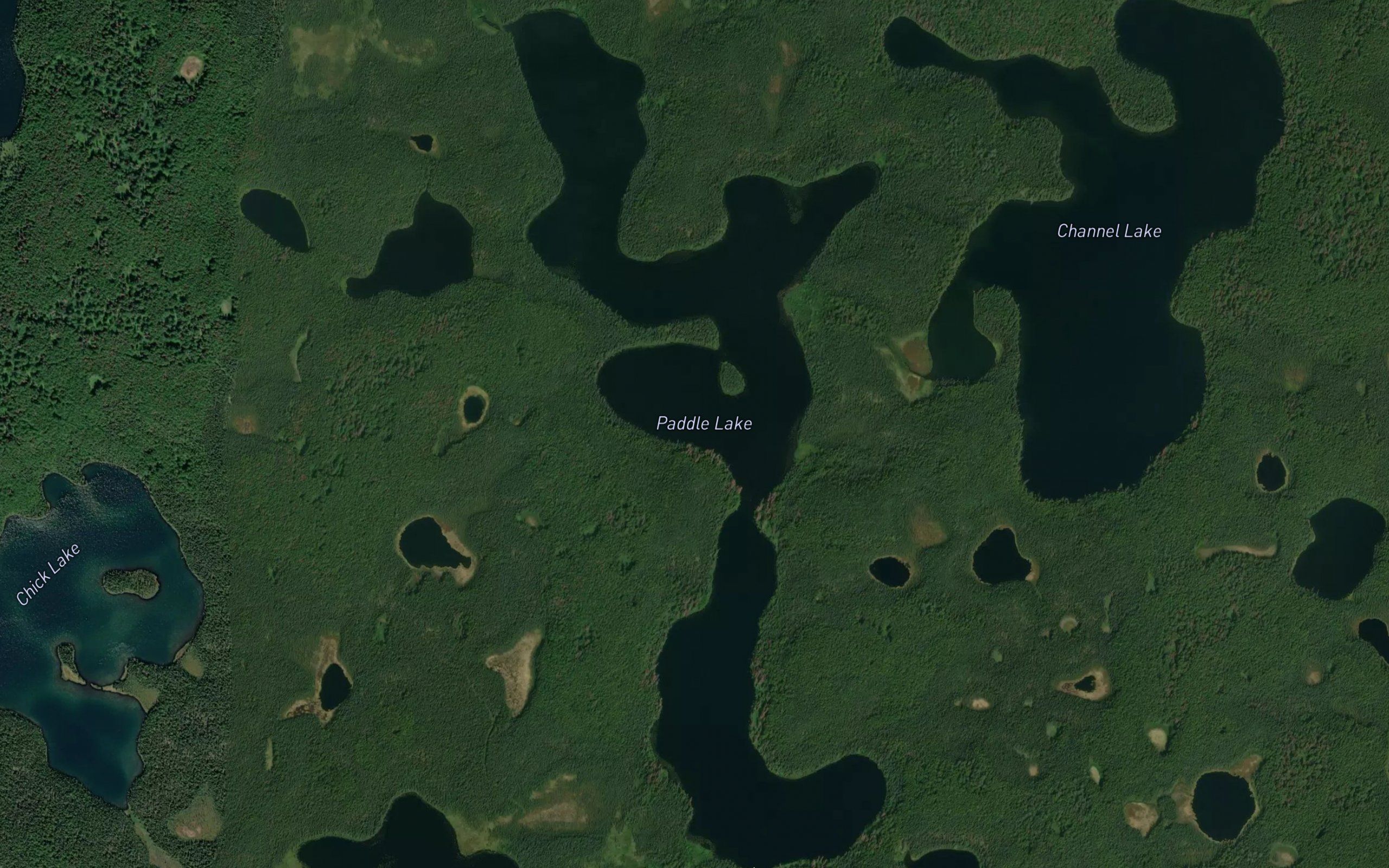 Paddle Lake