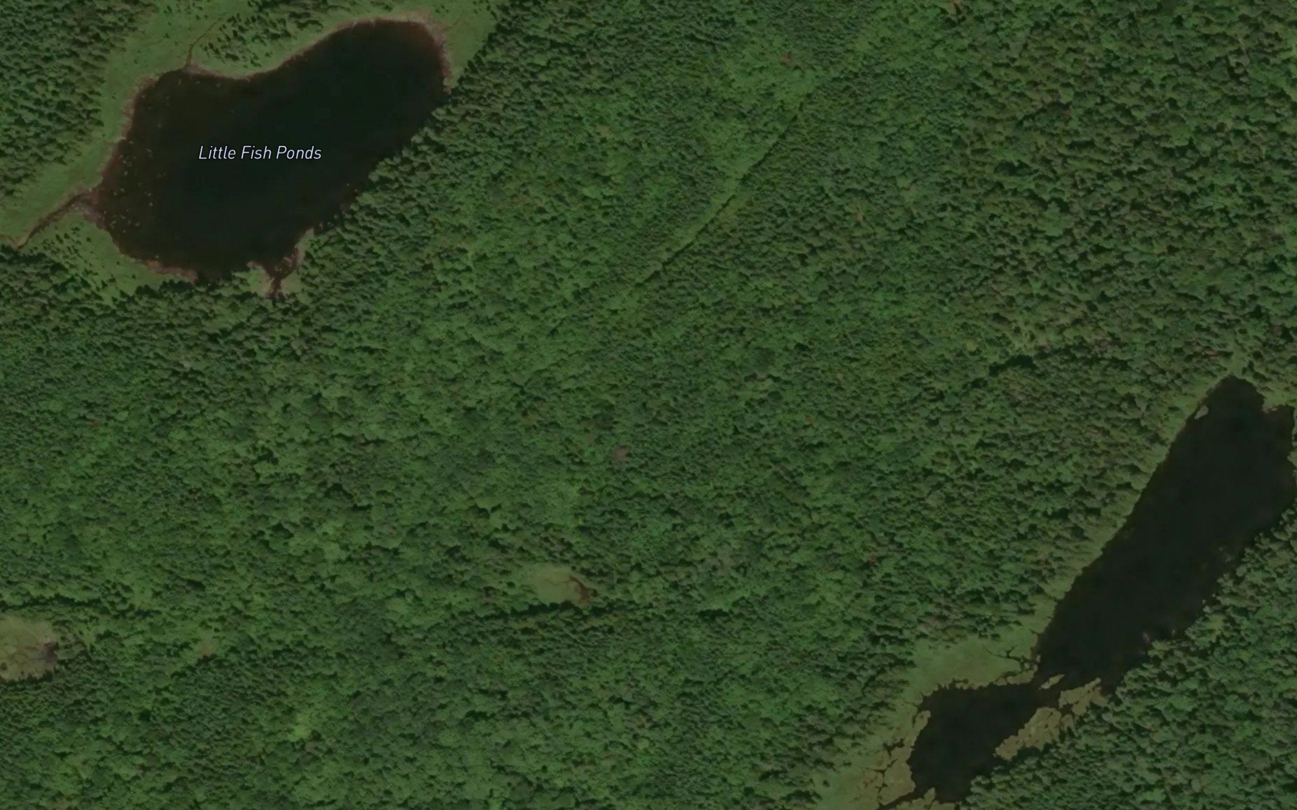 Little Fish Ponds