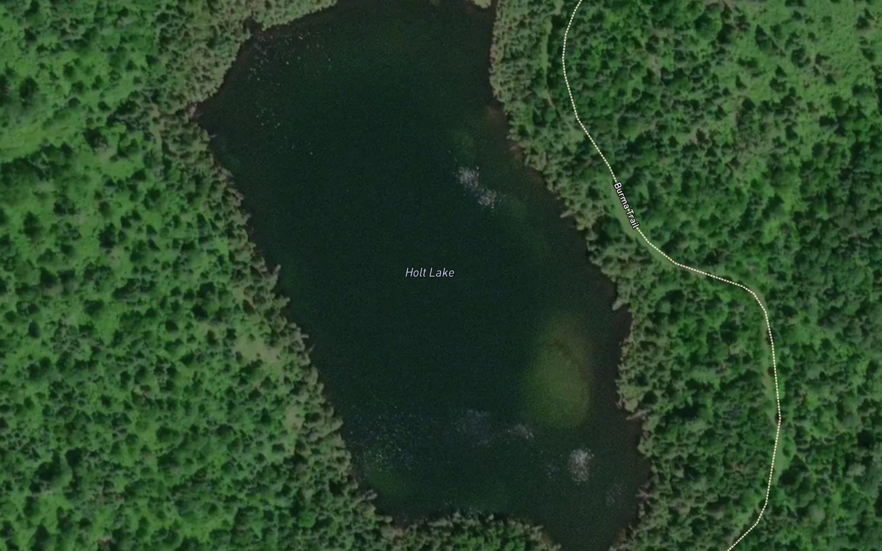 Satellite map of the Holt Lake