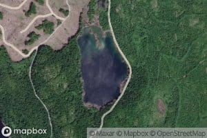 Diane Lake