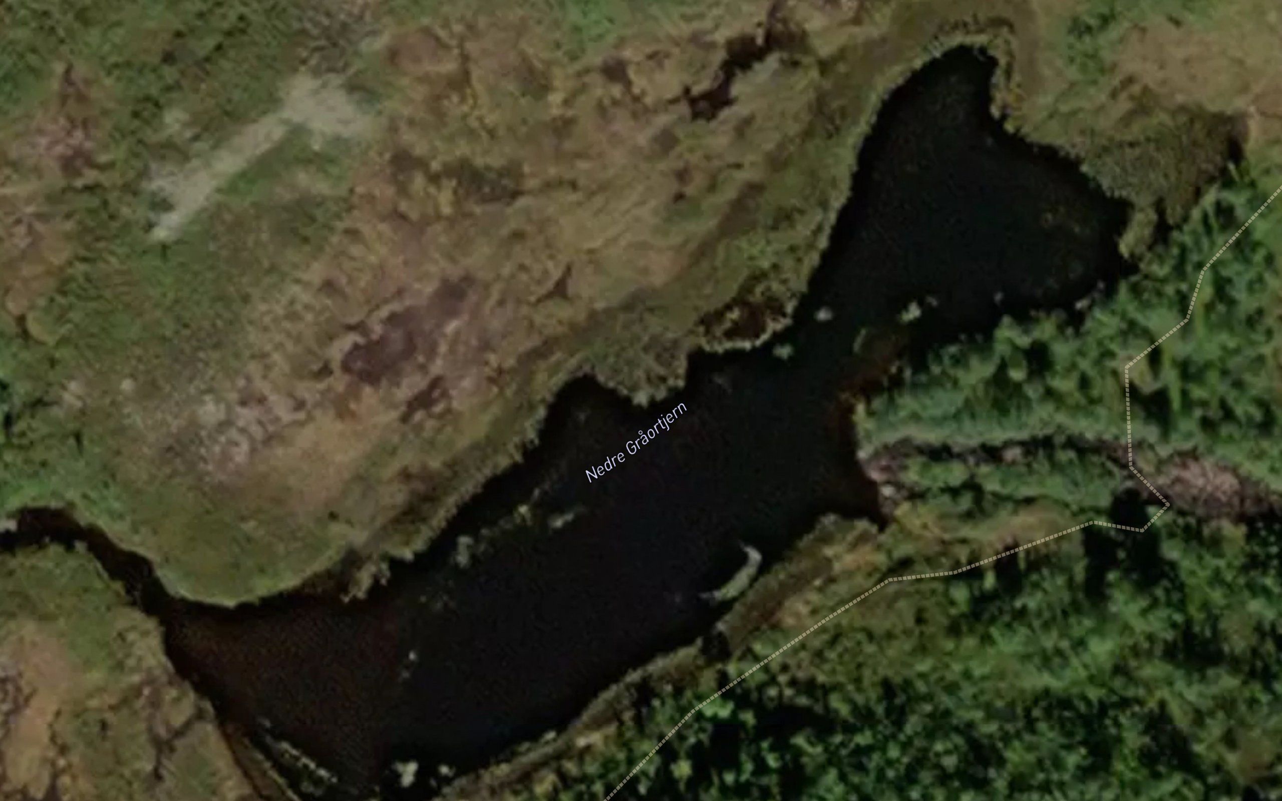 Nedre Graortjern