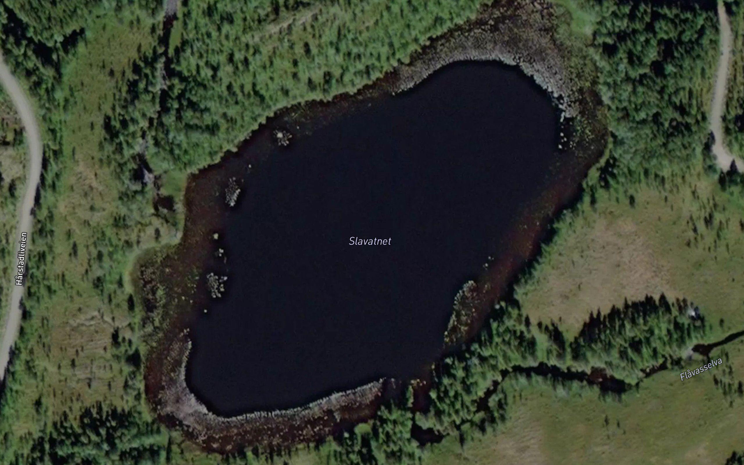 Slavatnet