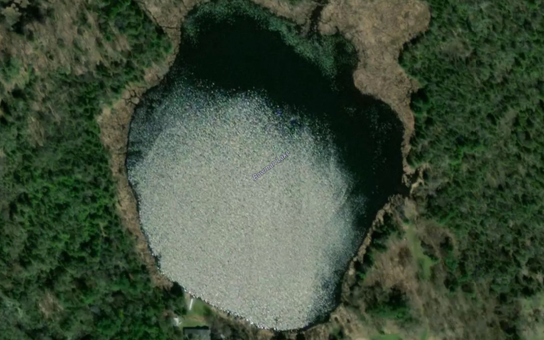Satellite map of the Bowman Lake