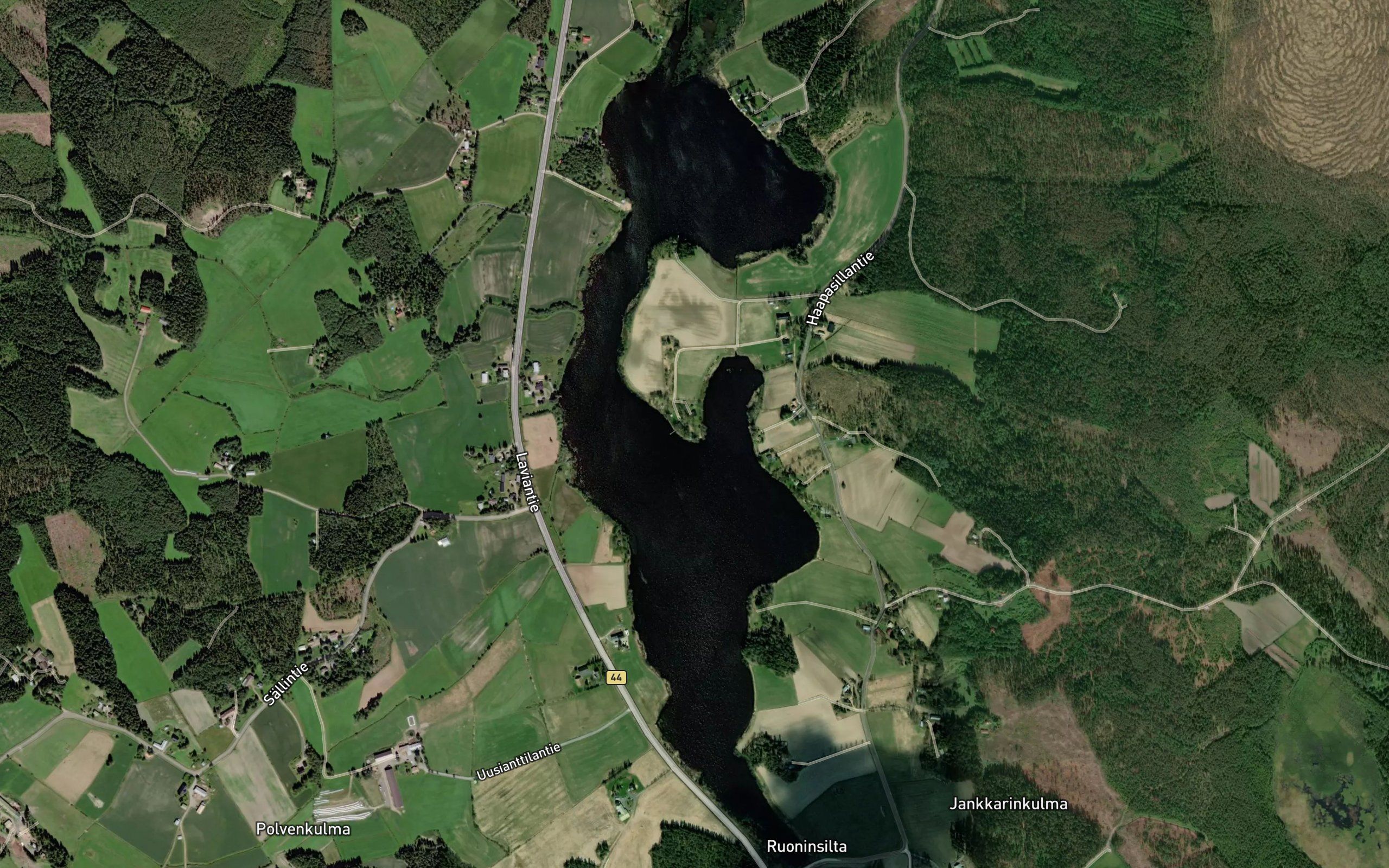 Holmanselka