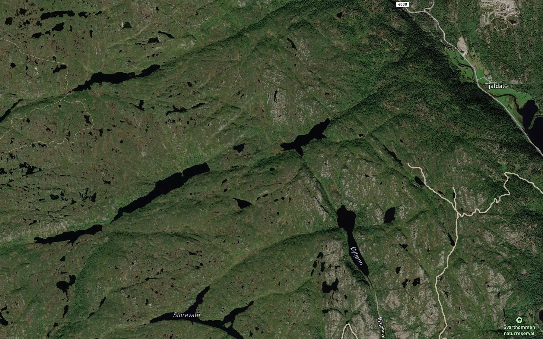 Satellite map of the Svarta tjonnae