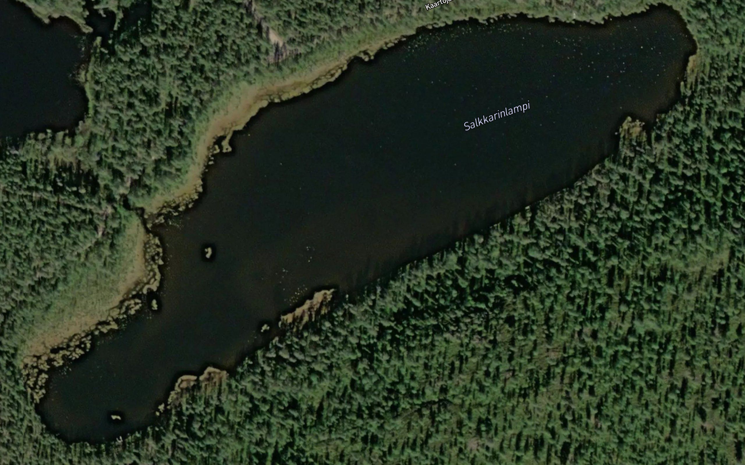 Salkkarinlampi