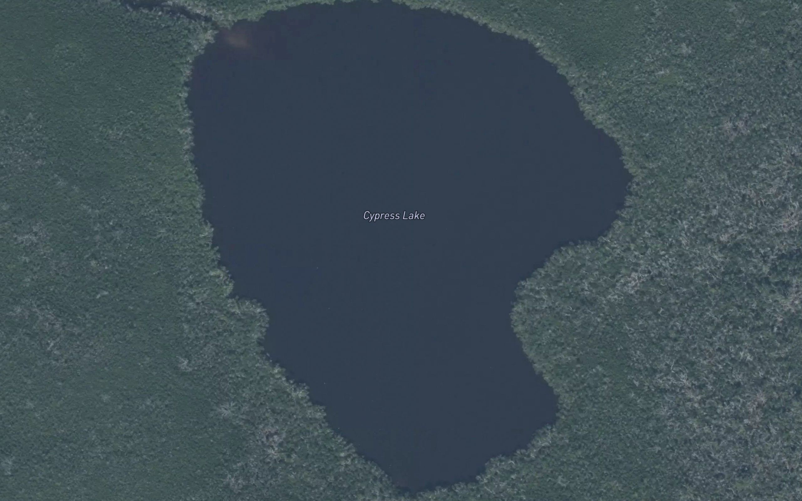 Cypress Lake