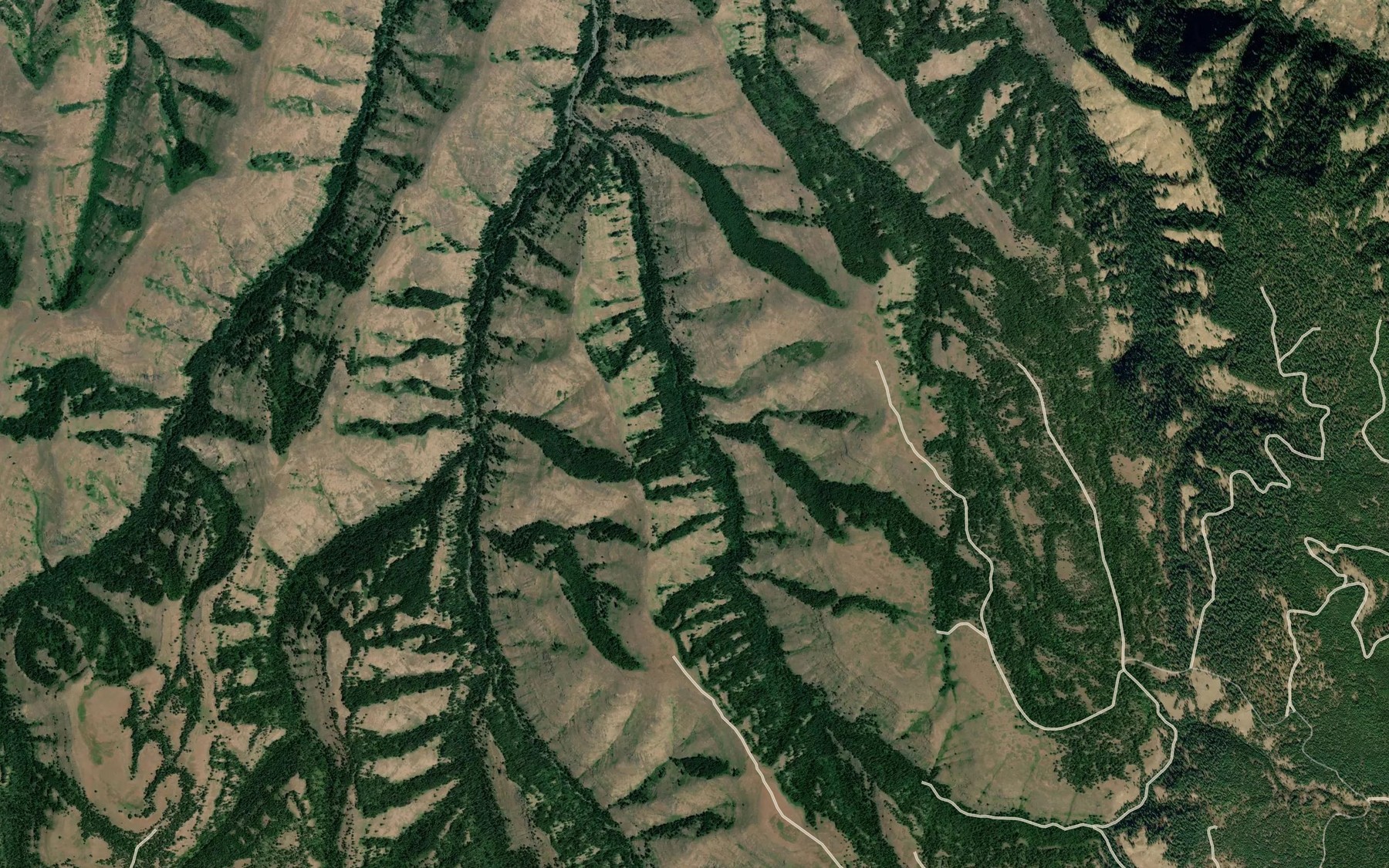 Satellite map of the Spino Spring