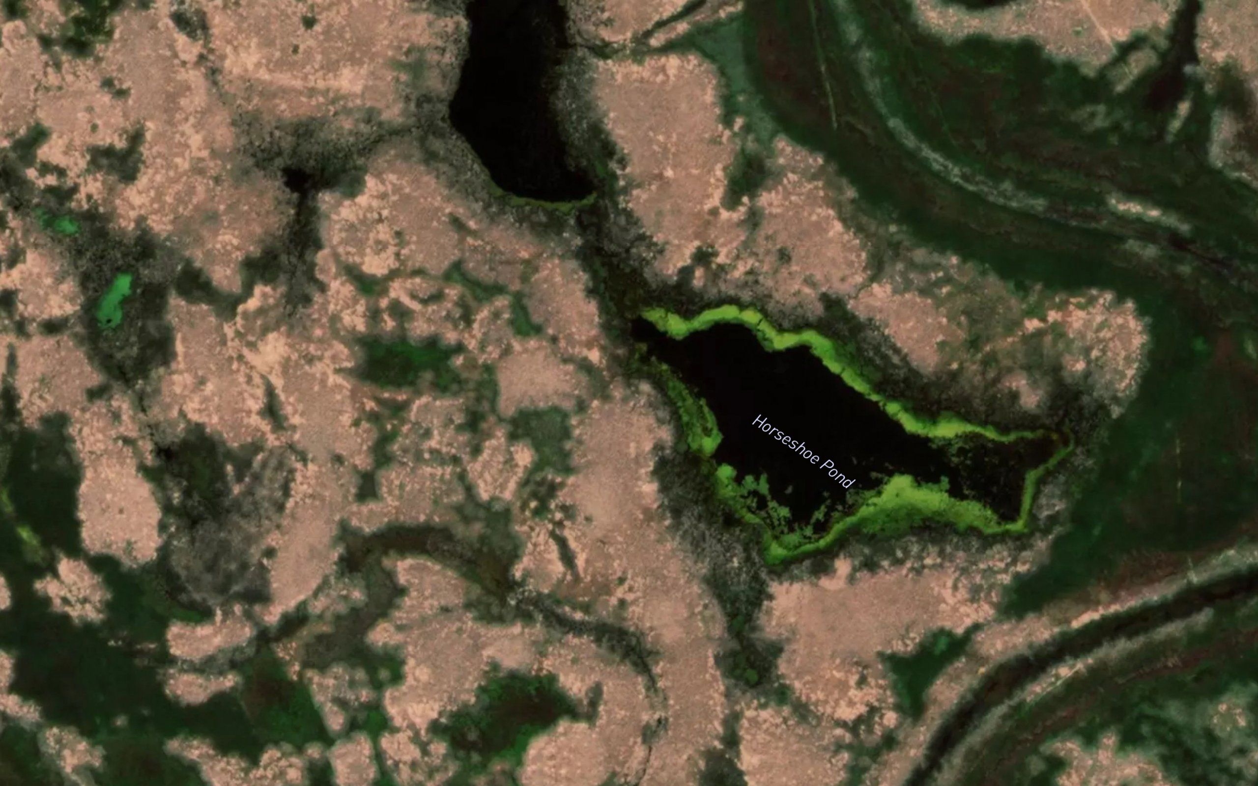 Horseshoe Pond
