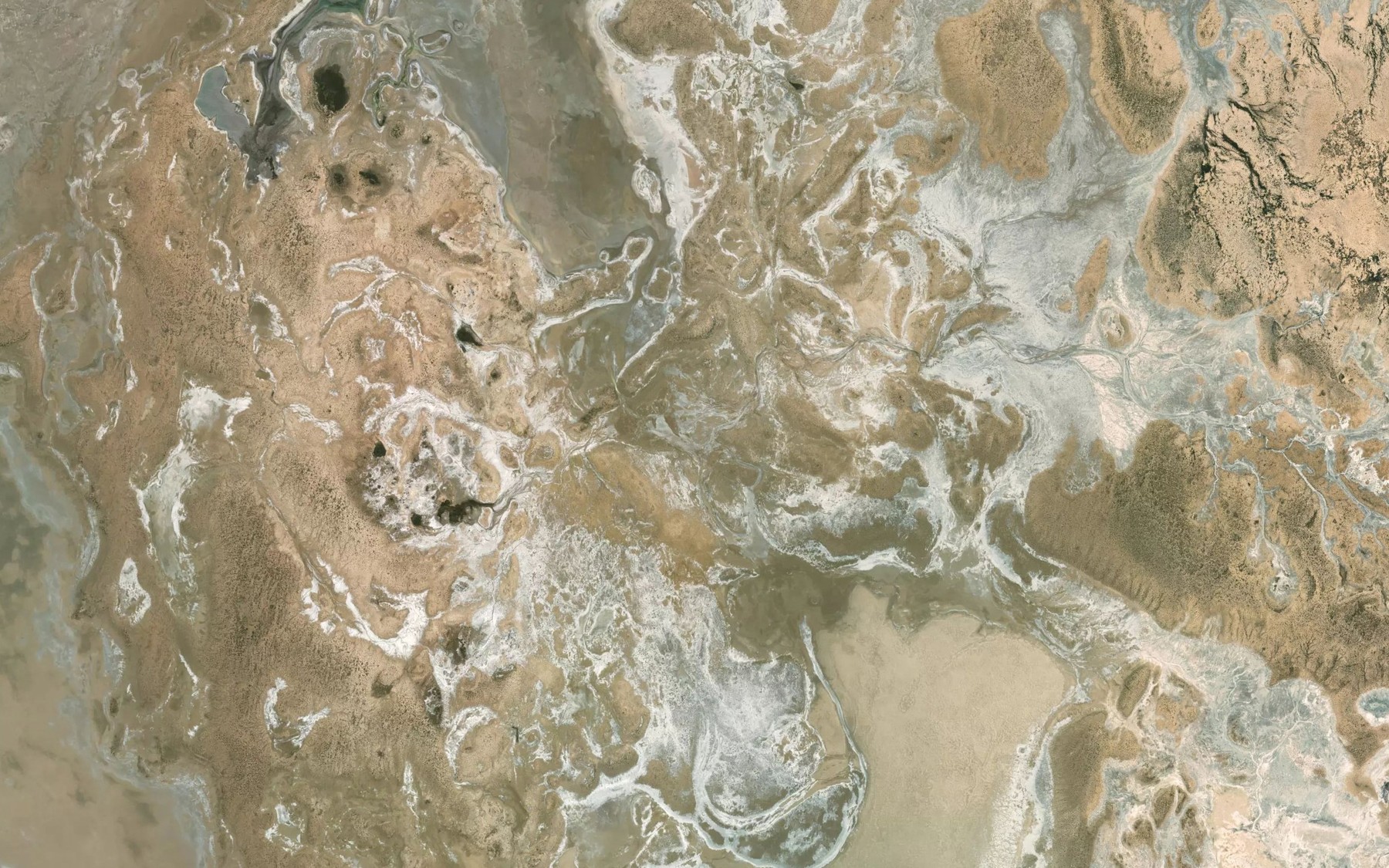 Satellite map of the Lake Mulligan