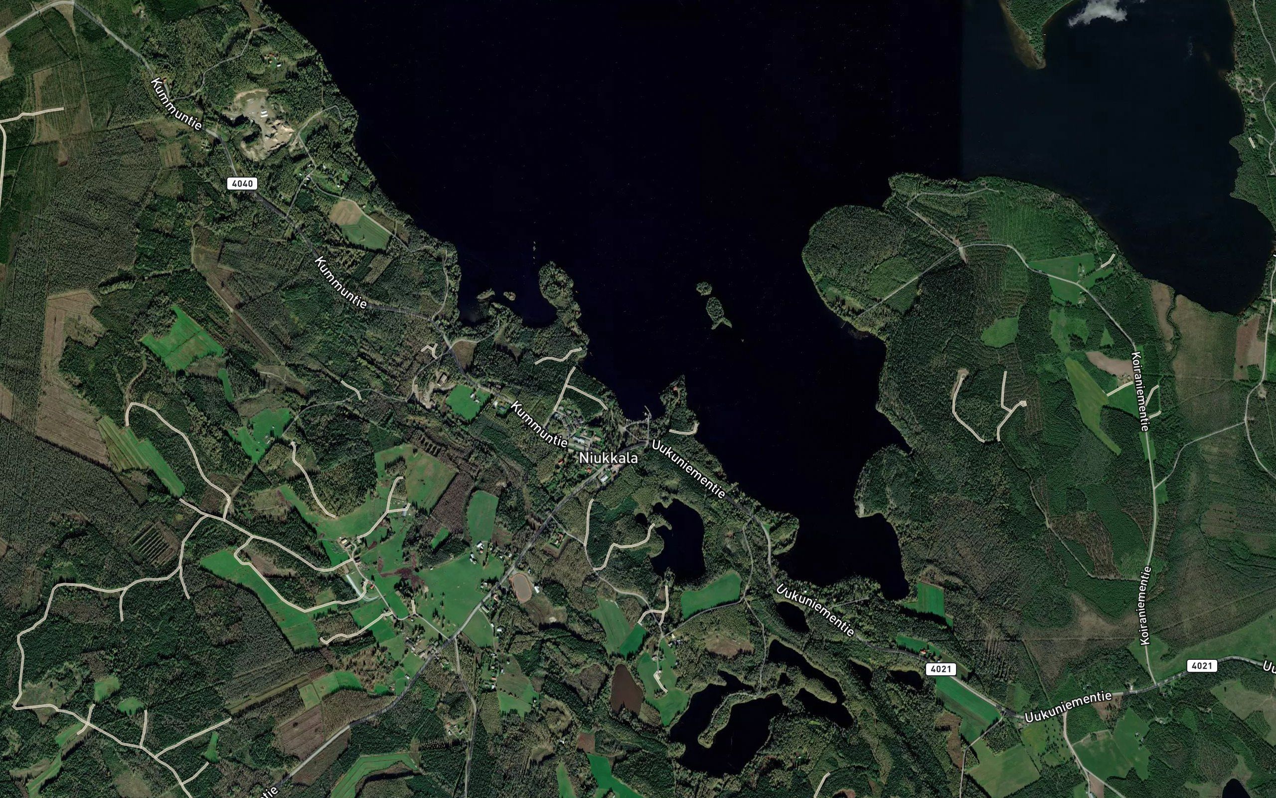 Tokkarinlahti