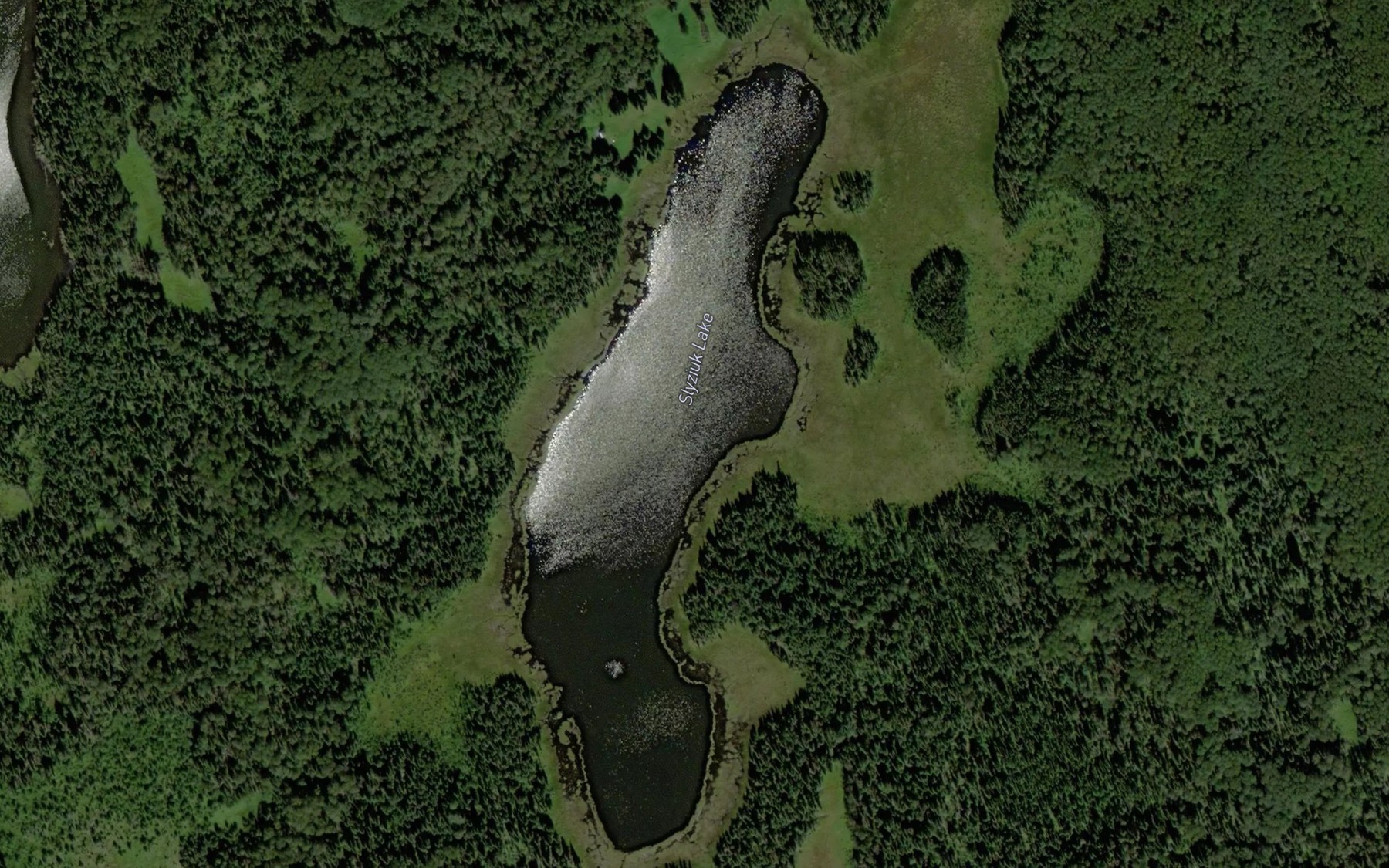 Satellite map of the Slyziuk Lake