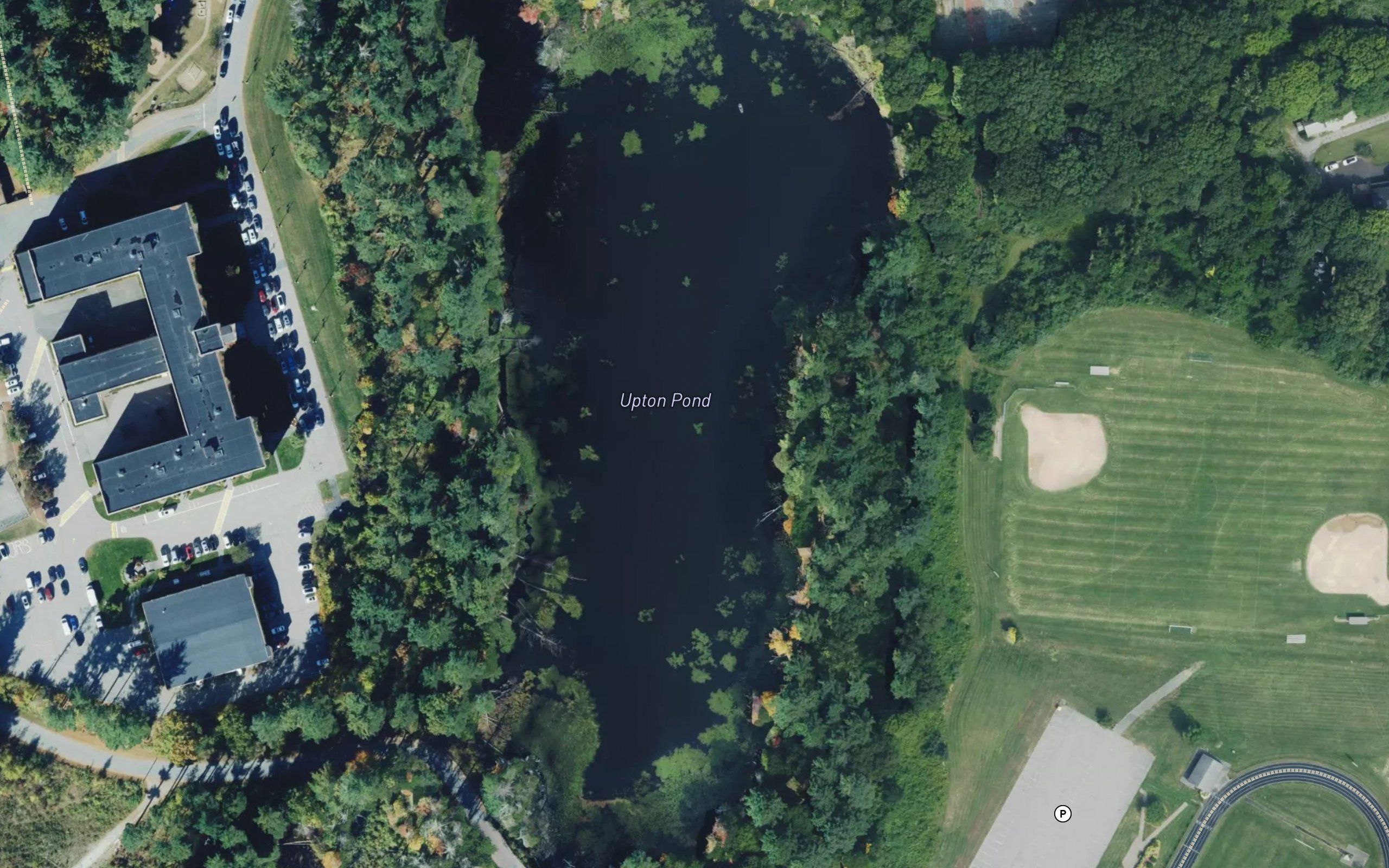 Uptons Pond