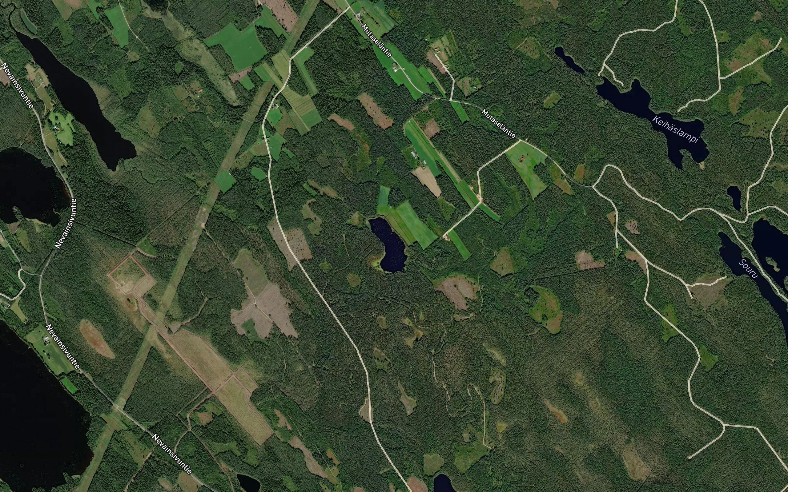 Naurislampi