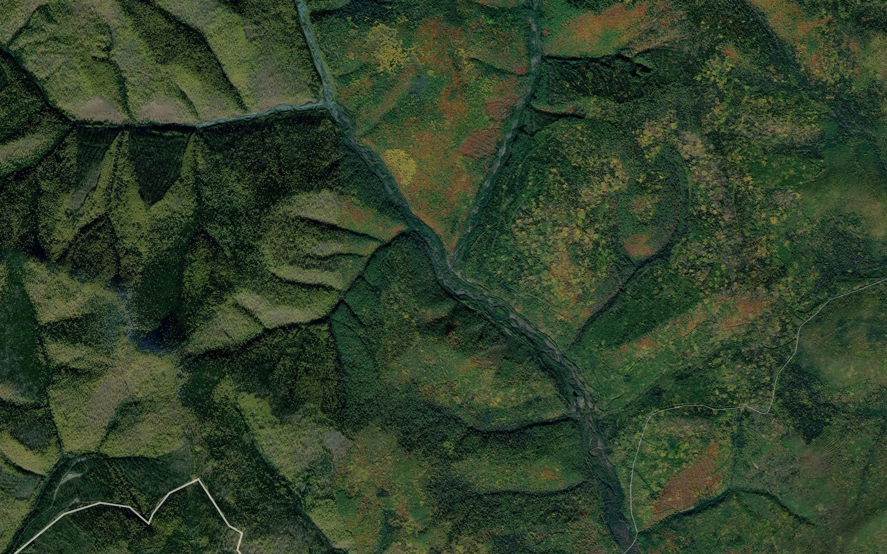 Satellite map of the Bol'shoy