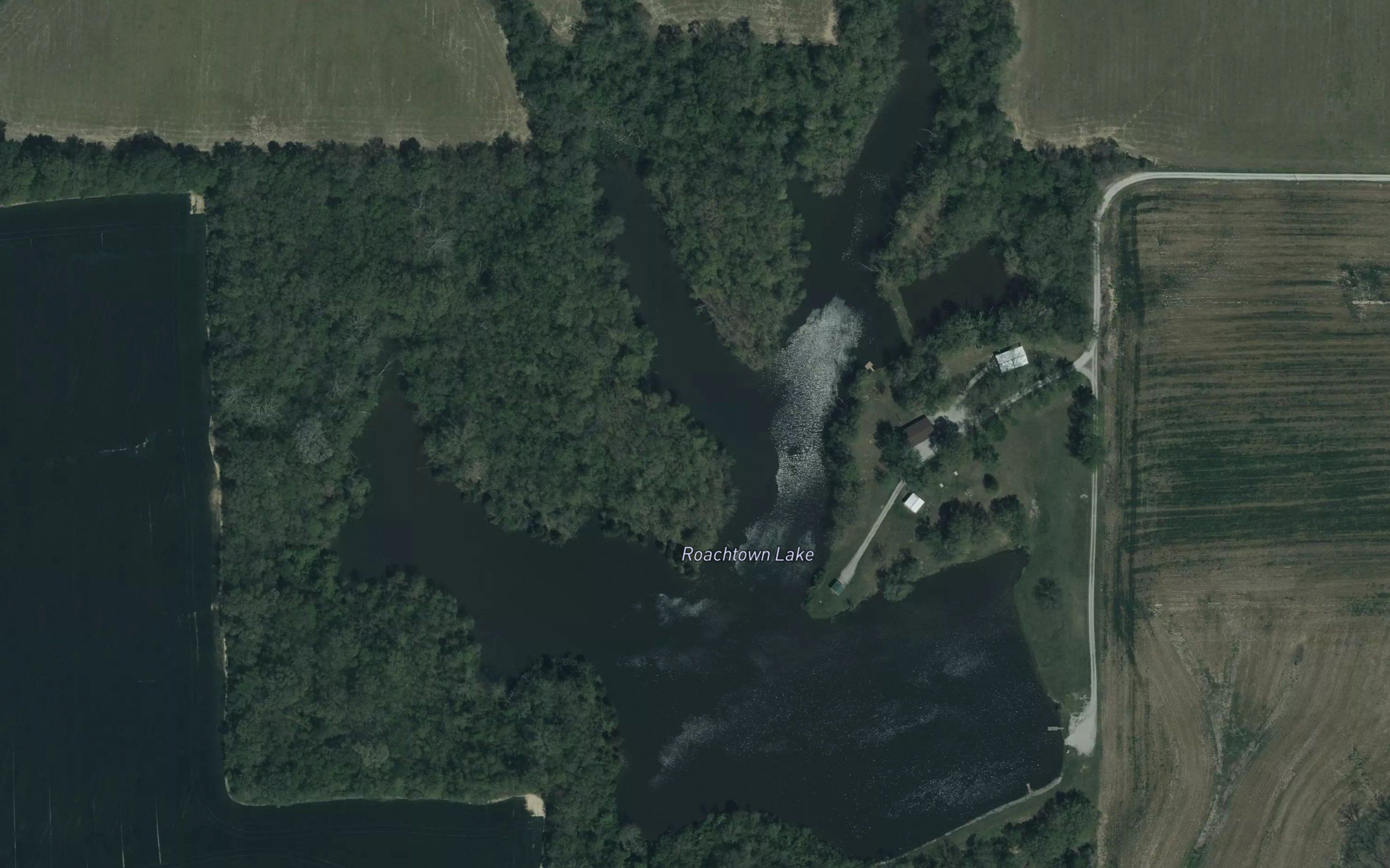 Roachtown Lake