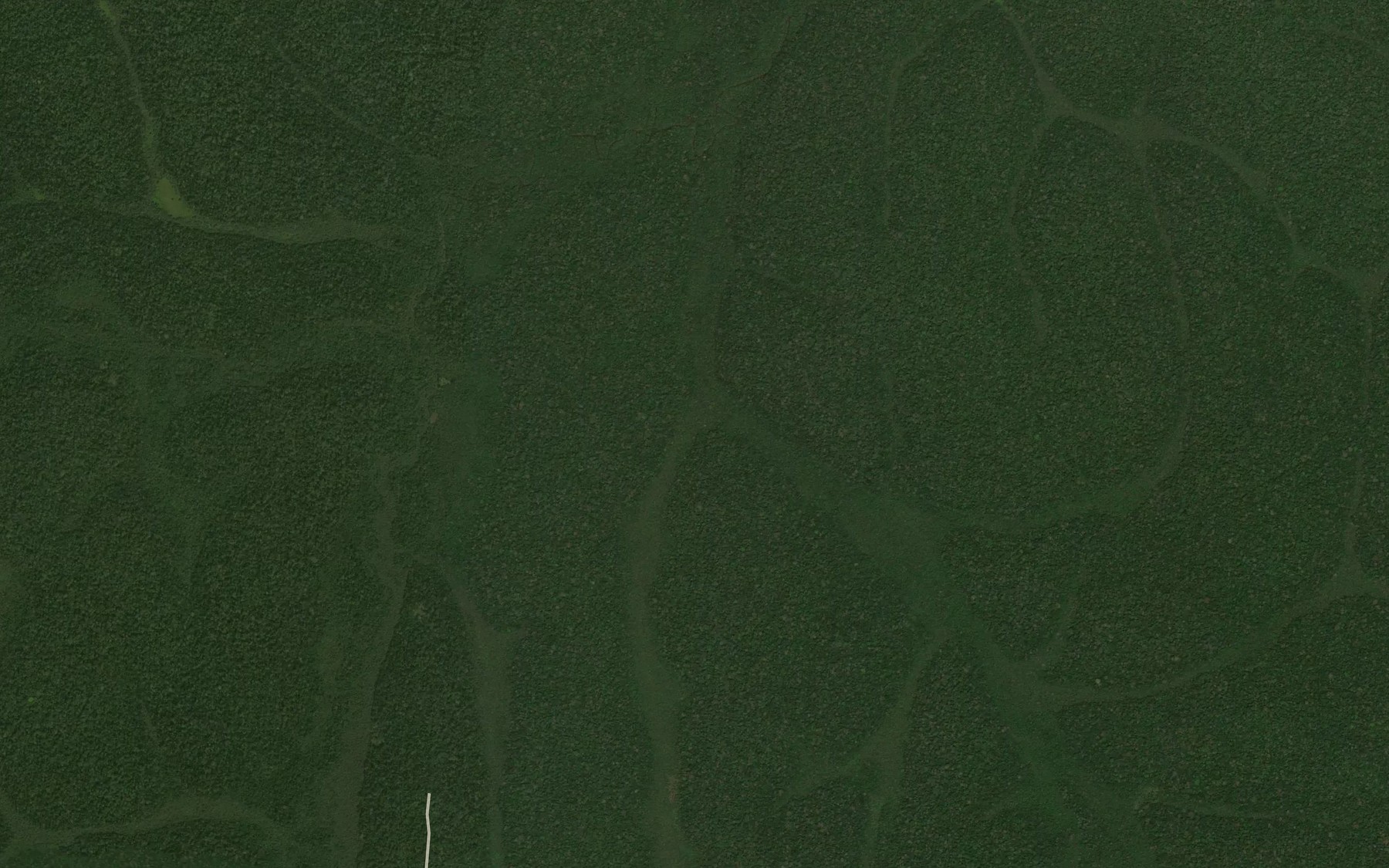 Satellite map of the Bint