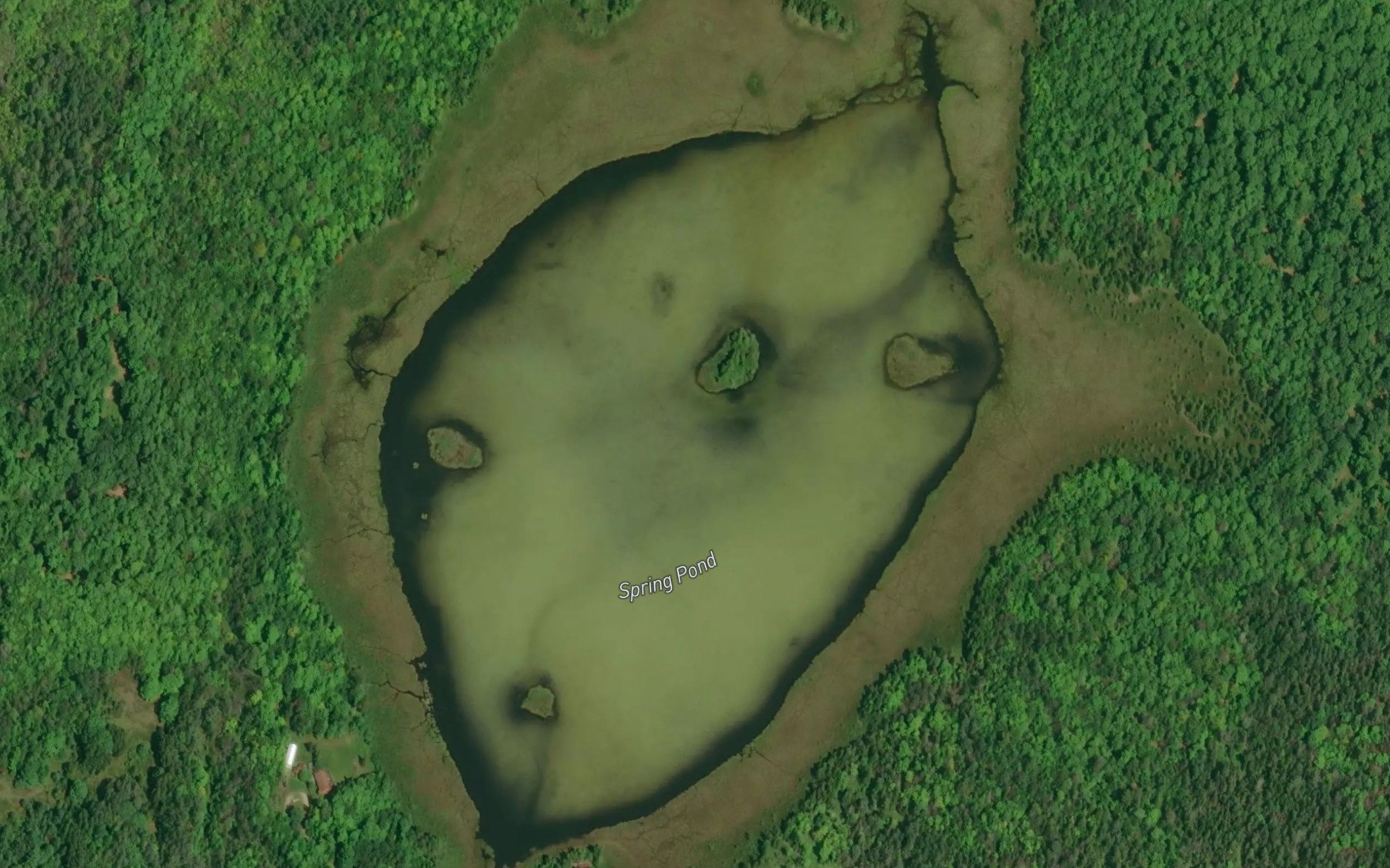 Satellite map of the Spring Pond