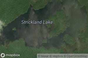 Strickland Lake