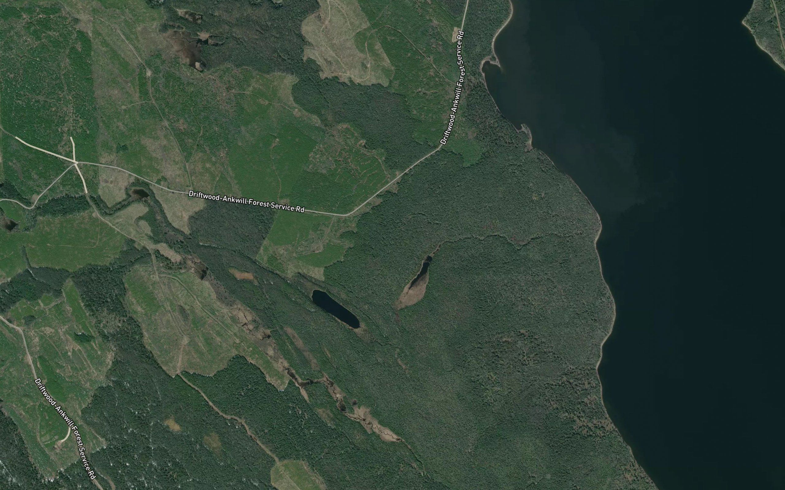 Timber Bay