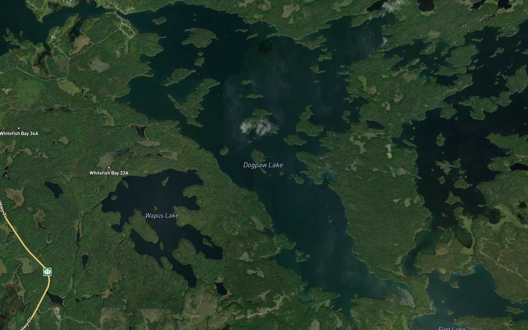 Satellite map of the Dogpaw Lake