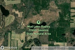 Mud Lake