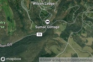 Oglebay Drive Spring