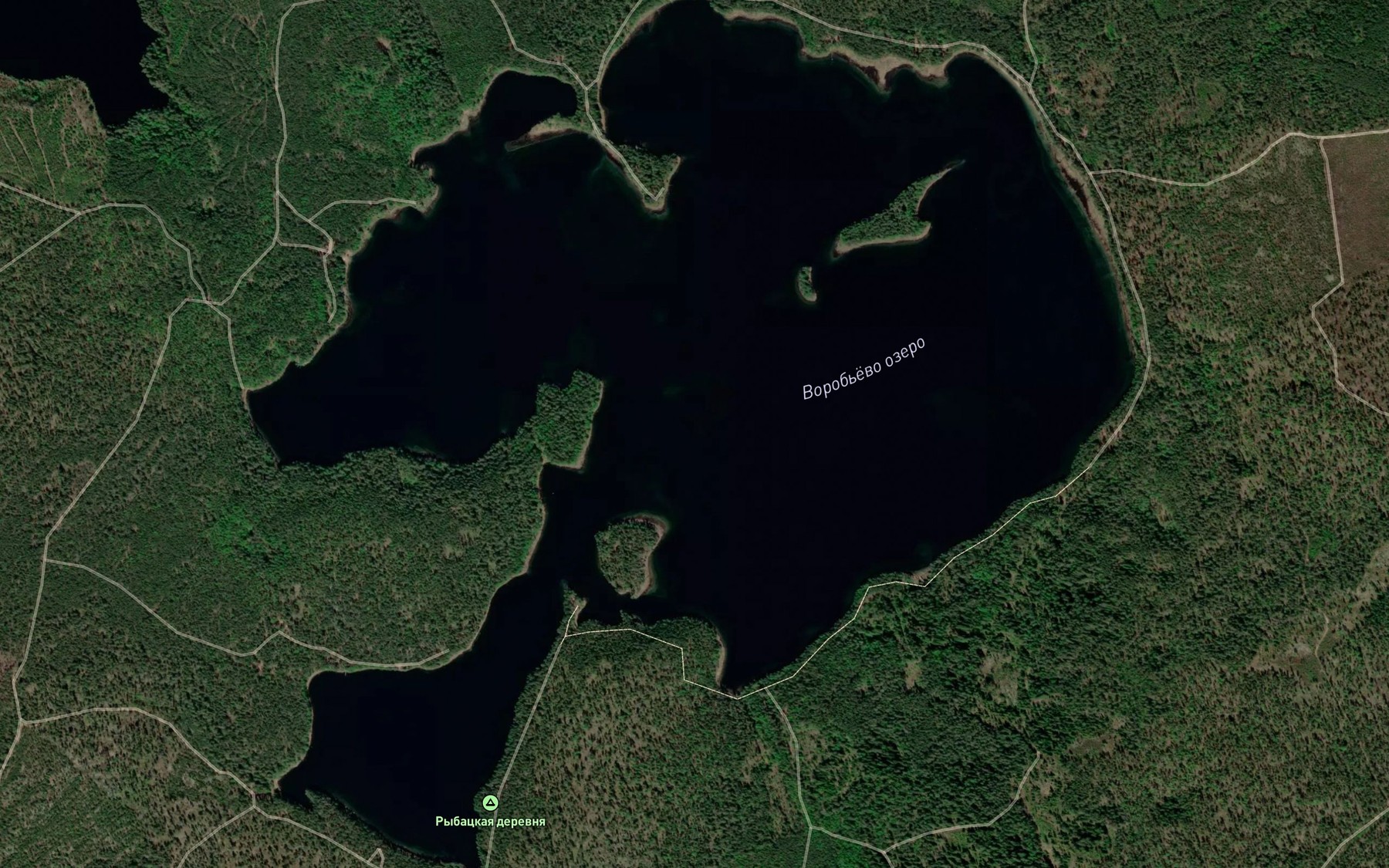 Satellite map of the Ozero Vorob'yevo