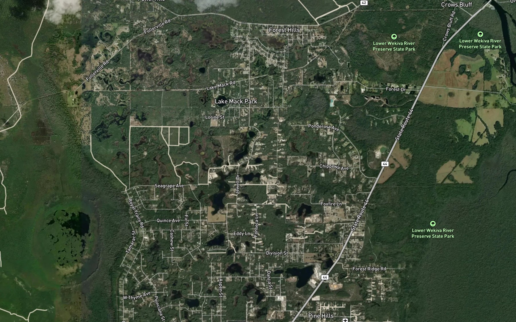 Satellite map of the Cooter Pond