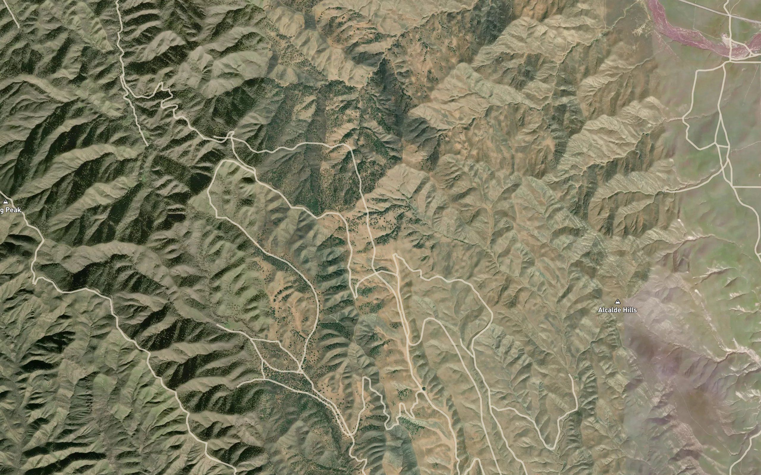Mustang Spring