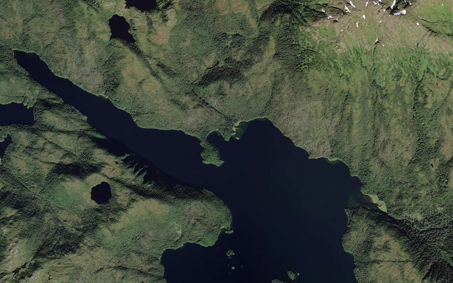 Satellite map of the Elf Cove