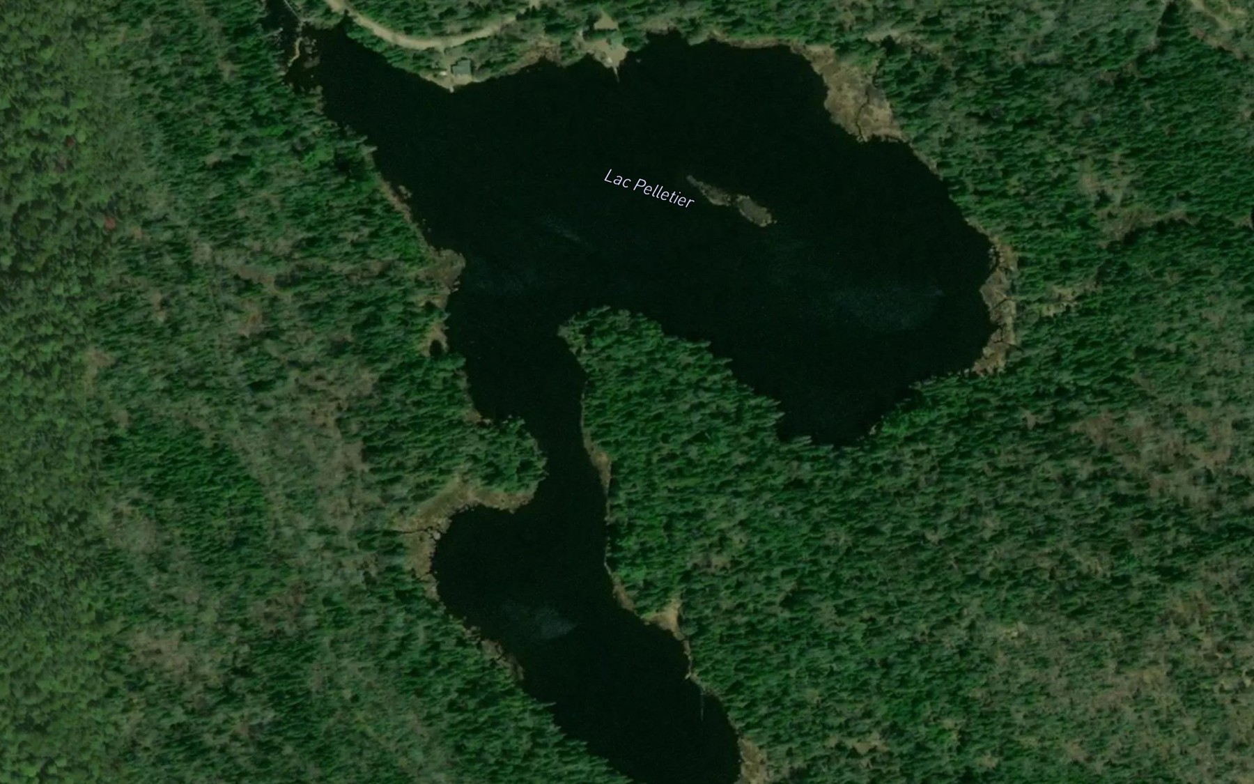 Satellite map of the Lac Pelletier