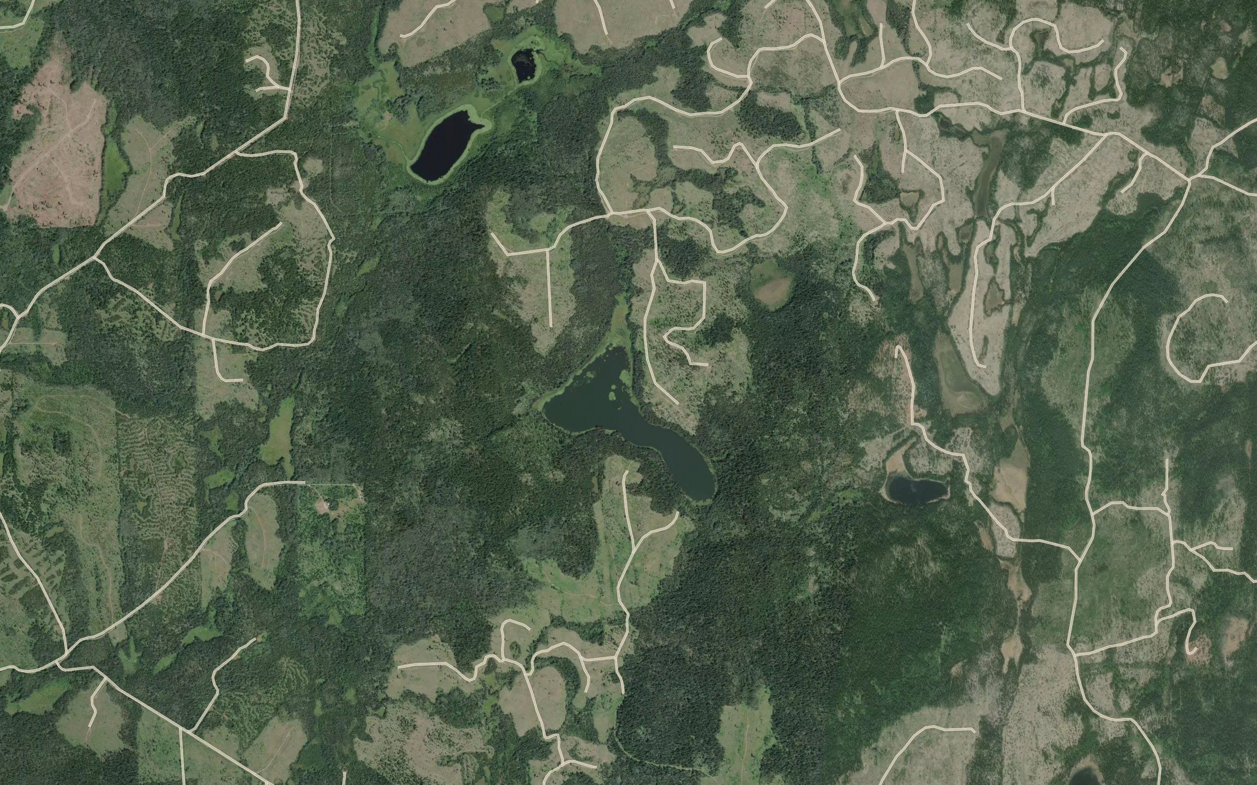 Dombey Lake