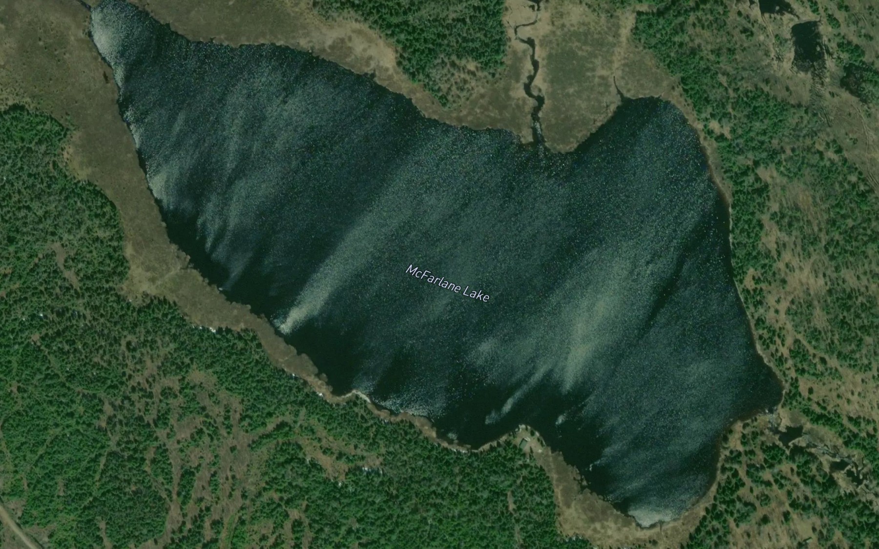 Satellite map of the McFarlane Lake