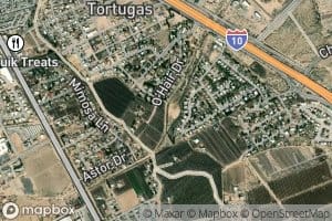 Tortugas Arroyo