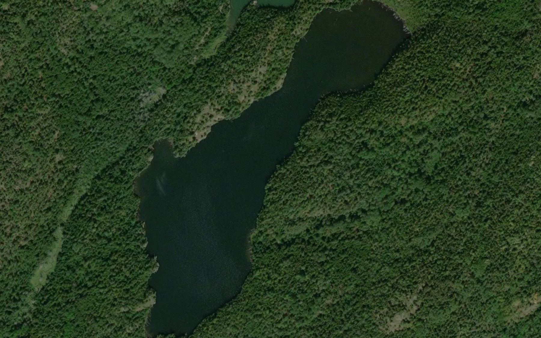 Satellite map of the Tillie Lake