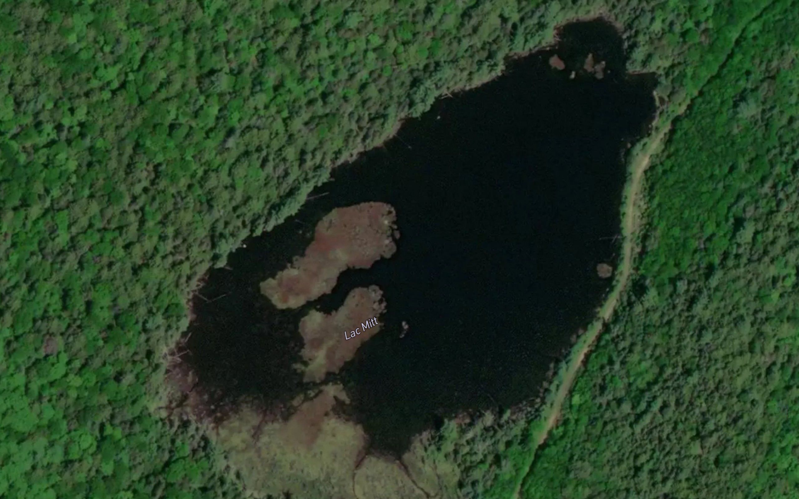 Lac Mitt