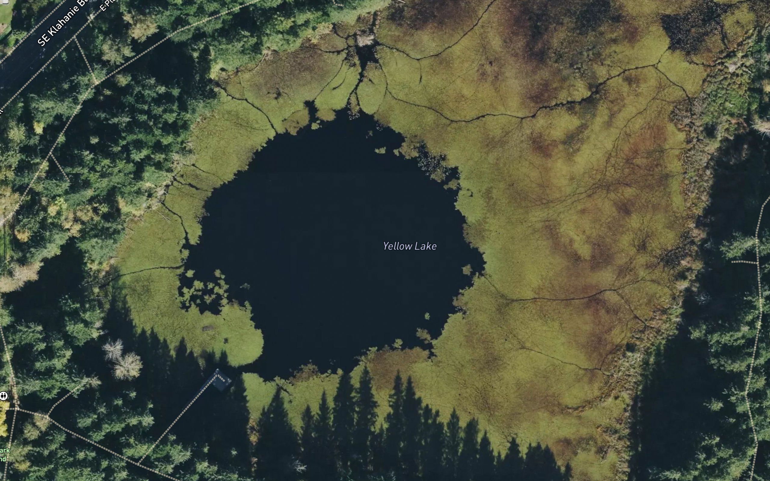 Yellow Lake