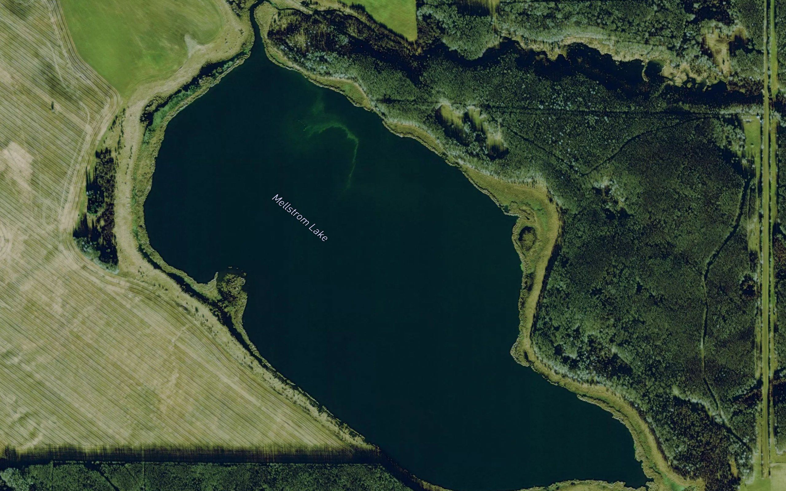 Mellstrom Lake