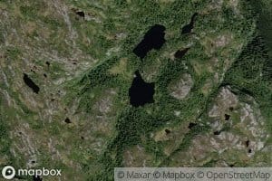 Gamlevolltjorni