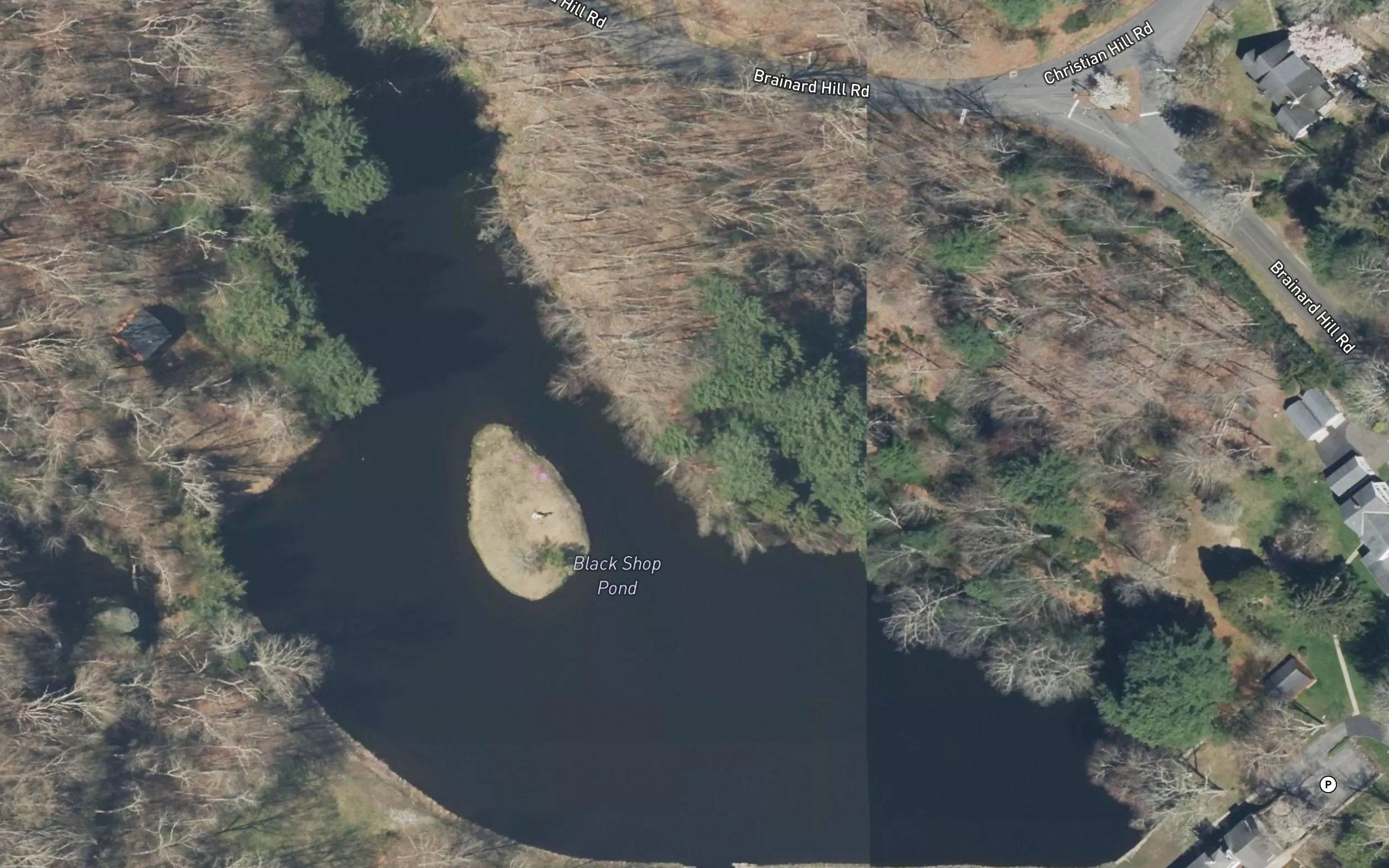 Black Shop Pond
