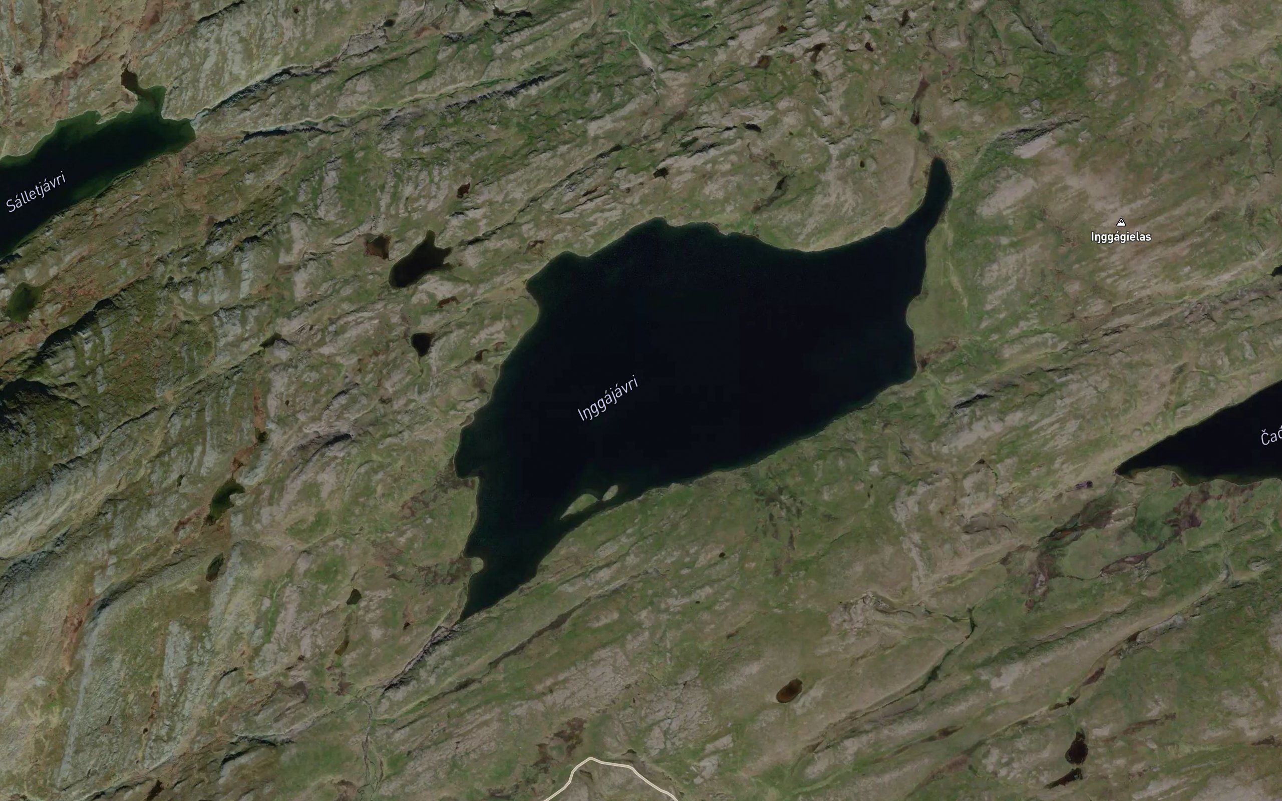 Ingajavri