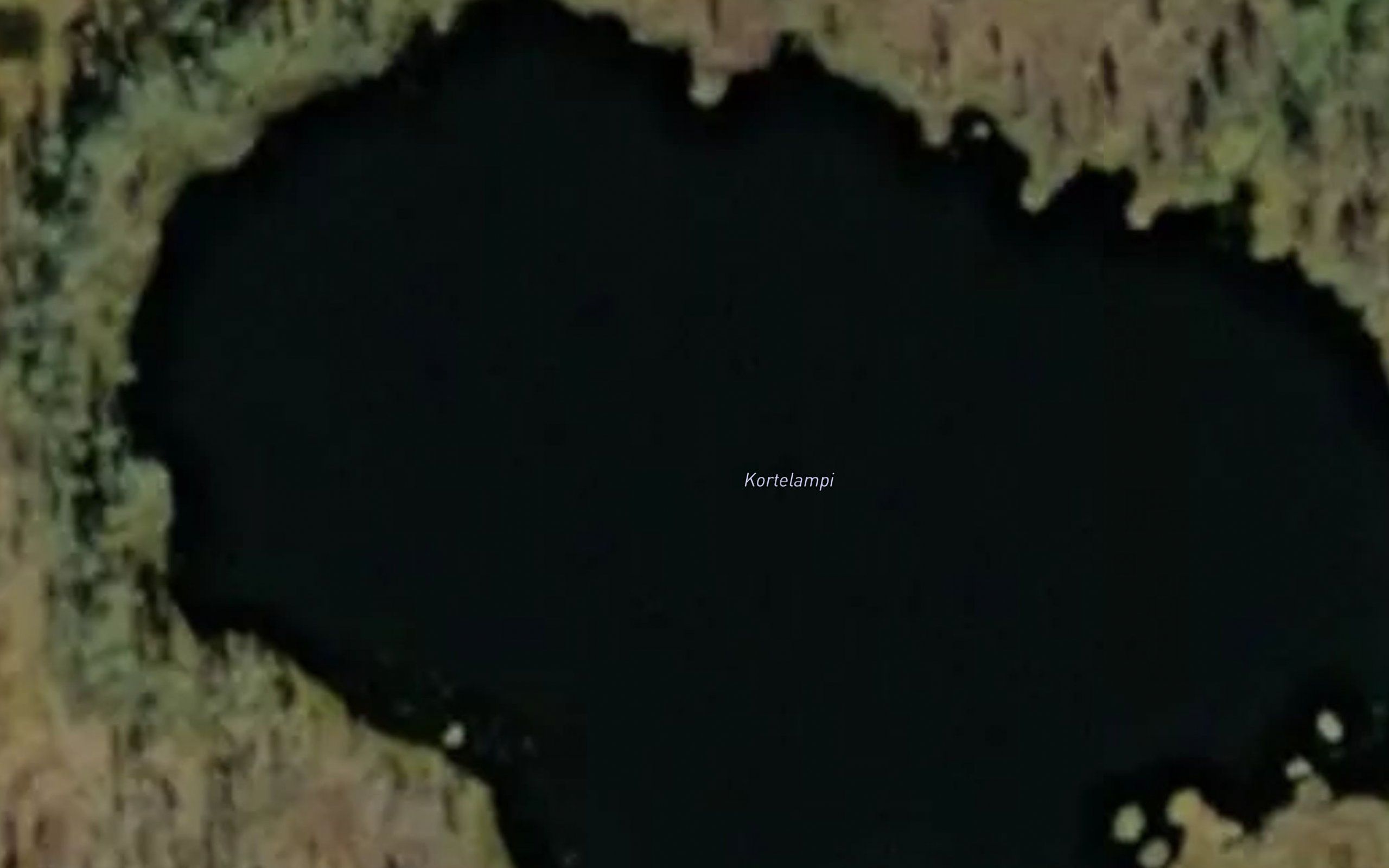 Kortelampi
