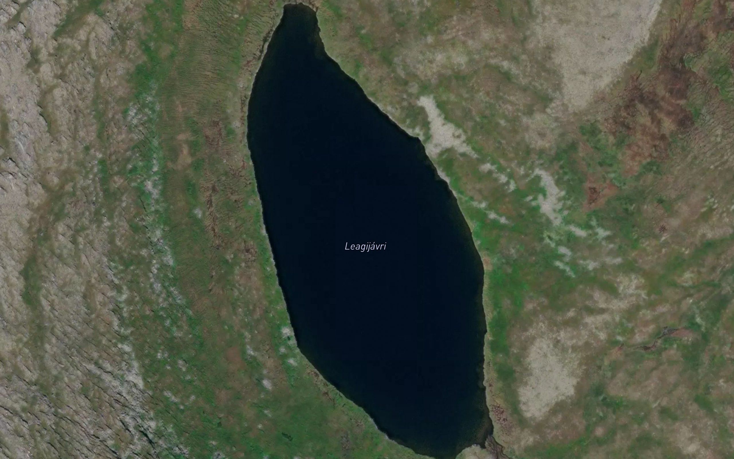 Laegijavri