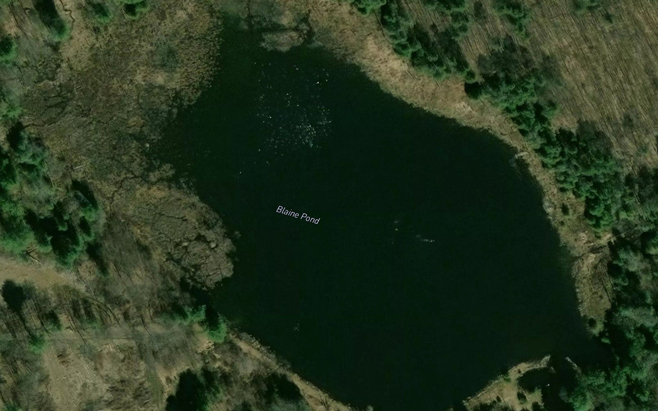 Blaine Pond